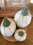 Folksy White Pumpkin Large