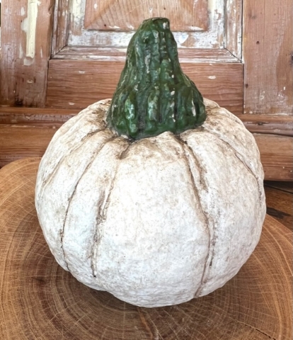 Folksy White Pumpkin - Medium RARE