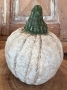 Folksy White Pumpkin - Medium RARE