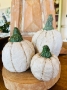 Folksy White Pumpkin - Medium RARE