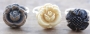 Tiny Rose Butterscotch - Size 7 - SALE