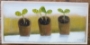 Seedlings on Windowsill - SALE
