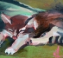 Sleeping Cat – 6x6