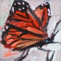 Monarch Butterfly - 4x4