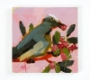 White-Crowned Pigeon &  Blolly Berries 6x6