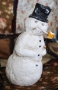 The Hearty Snowman