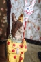 Clown Rabbit - SALE