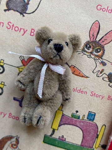 Itty Bitty Ted - Biscuit