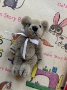 Itty Bitty Ted - Biscuit