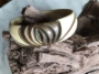 Vintage Carved Bakelite & Brass Bangle - SALE