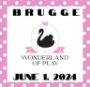 Wonderland of Play - BRUGGE - 6/1/24