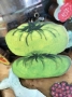 Mini Wooden – Green Tomatoes - SALE