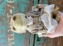 Frehya Frog - OOAK Soft Sculpture