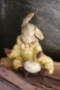A Rare Rabbit - Set