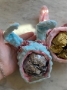 Happy Blue Bun Helmet - OOAK