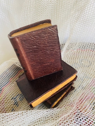 Wee Leather Book Set