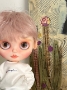 Charlie - Custom Blythe Boy - Promo Price