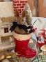 Many Merry Days Bunny