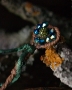 Life’s Beauty – Emerald Set - SALE