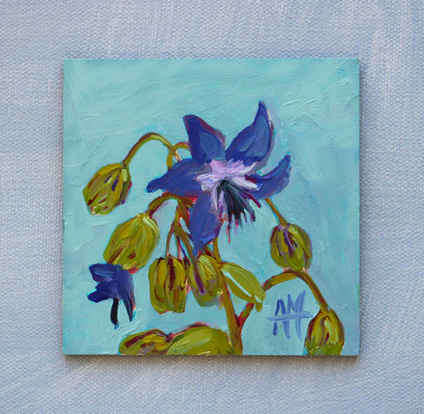 Picture of Borage Flowers – 4x4 - SALE