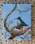 Picture of Hummingbird and Nest - 14 x 11 - SALE