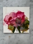 Picture of Pink Geranium – 4x4 – SALE