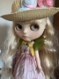 Picture of “Iris” – Custom Stock Blythe by DM Blythe