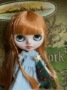 Picture of “Rowan” – Custom Stock Blythe by DM Blythe