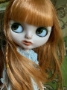 Picture of “Rowan” – Custom Stock Blythe by DM Blythe