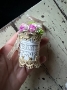 Picture of Wee Bucket of Blooms #2 - SALE