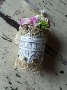 Picture of Wee Bucket of Blooms #2 - SALE