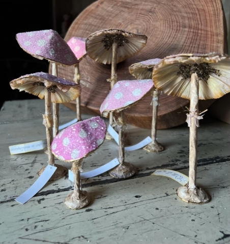 Picture of PINK Amanita Muscari Mushrooms – by Debrina Pratt