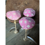 Picture of PINK Amanita Muscari Mushrooms – Size #2 – Approx 4”