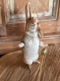 Picture of The Golden Egg Bunny - SPECIAL EDITION by Debbee Thibault