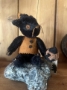 Picture of Black Cat - by Jennifer Murphy - cute Halloween Kitty
