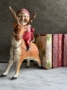 Picture of WOW Santa Rides a Reindeer - by Debbee Thibault  