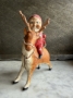 Picture of WOW Santa Rides a Reindeer - by Debbee Thibault  