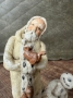 Picture of Special Edition - Woodland Friends Santa  & Snowy- by Debbee Thibault    