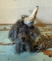 Picture of Cinder - ooak Party Pup NECKLACE by Letty Worley  