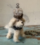 Picture of King O'Sweet - ooak Party Pup by Letty Worley
