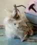 Picture of Fluffy McCute - ooak Party Kitty by Letty Worley   