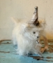 Picture of Fluffy McCute - ooak Party Kitty by Letty Worley   