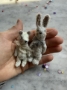 Picture of Widdershin Wee Bears...and Rabbits too - COMING SOON 