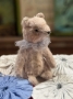 Picture of Tiniest Ted Dearie - shown for scale