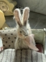 Picture of Tiniest Bunny Dovie - ooak by Widdershin Bears