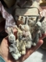 Picture of Tiniest Bunny Bitsie - ooak by Widdershin Bears 