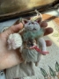 Picture of Kitty Love - by Natalia Grosu - SALE