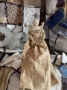 Picture of Our Angel 16" OOAK  - by Nicol Sayre Folk Dolls  - SALE