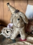 Picture of "Grand Party Pet " - ooak soft sculpture dog  by Letty Worley 