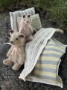 Picture of Darling Verde - Widdershin Wee Bed...for Petite Blythe & Teddy Friends